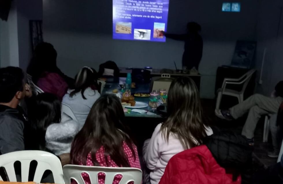 FRAAM dictó un exitoso taller por el “Día Mundial de las Tortugas Marinas”