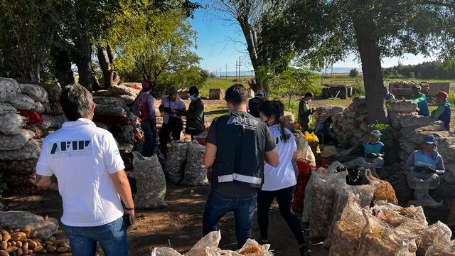 AFIP investigó en campos de papa en Tandil y la zona y descubrió a más de 15 trabajadores en una trágica situación