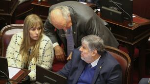 Unión por la Patria no consiguió el quórum para sesionar en el Senado (Foto: NA / Daniel Vides)