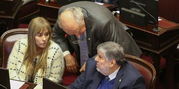 Unión por la Patria no consiguió el quórum para sesionar en el Senado (Foto: NA / Daniel Vides)