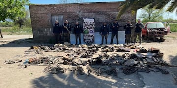La Policía incautó carne equina y pruebas que apuntan a una red de abigeato en la zona.