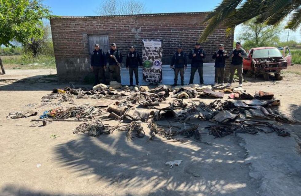 Operativo rural en La Trinidad: hallan faena clandestina de caballos