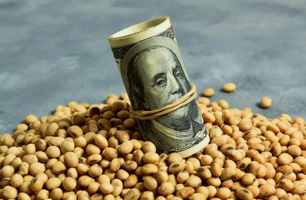 Economía última los detalles para  el lanzamiento del nuevo “dólar agro”
