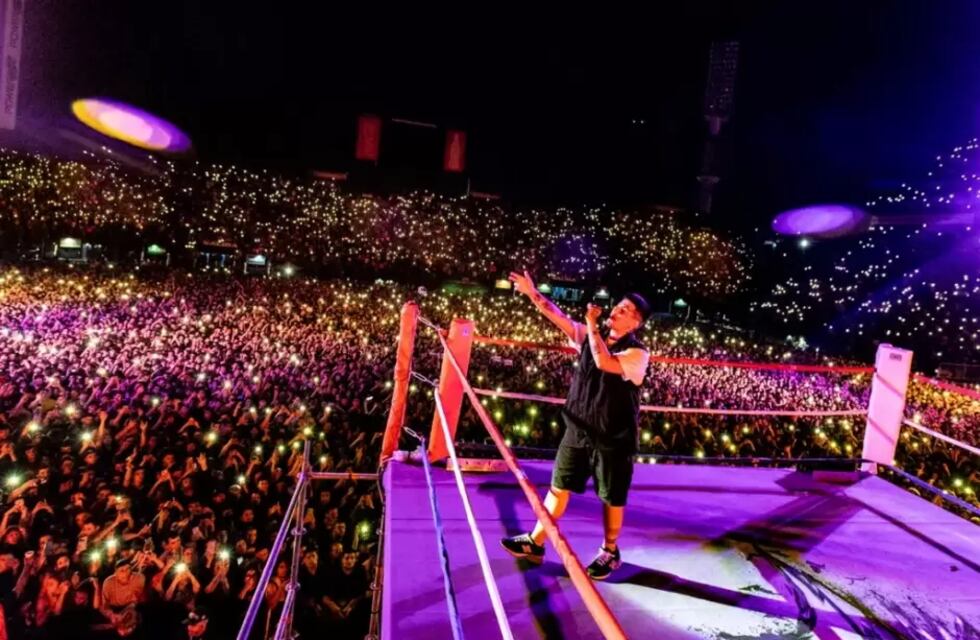 Rosalía, Bad Bunny, Daddy Yankee, Wos y Duki: el 2022 marcó el regreso de los shows masivos después de la pandemia