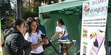 La Semana del Tucán Grande busca generar compromiso ciudadano en Jujuy, en el marco de un programa de protección de esta ave autóctona y su hábitat.