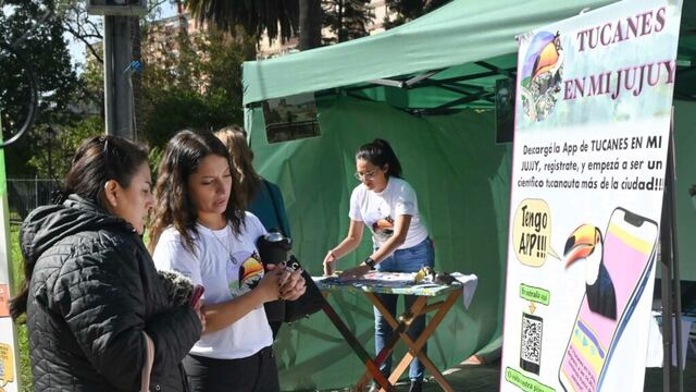 La Semana del Tucán Grande busca generar compromiso ciudadano en Jujuy, en el marco de un programa de protección de esta ave autóctona y su hábitat.