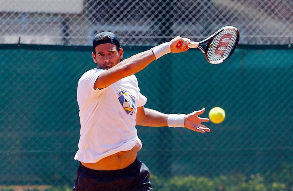 Argentina Open: así quedó el cuadro principal luego del anuncio de Del Potro