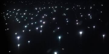 Vuelo de Enrique Piñeyro para mostrar la depredación de Mar Argentino