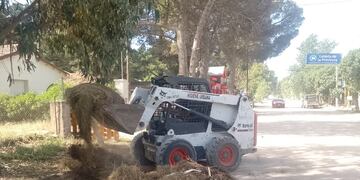 informe semanal de Higiene Urbana