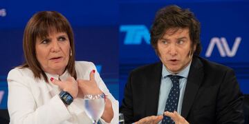Bullrich y Milei se refirieron a los saqueos