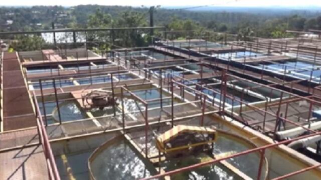 Eldorado: varios sectores con escasez de agua por alta demanda.