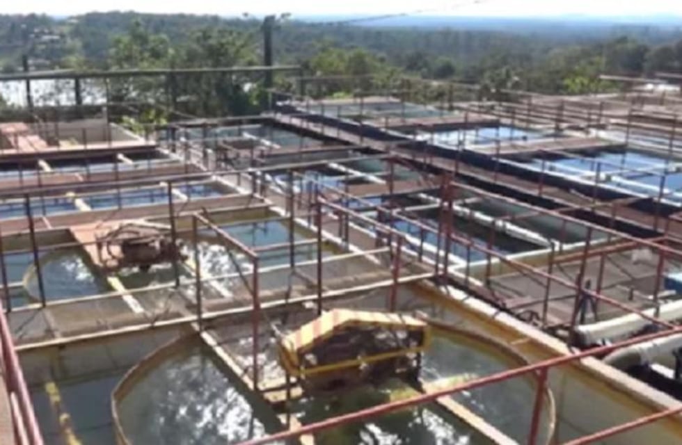 Eldorado: varios sectores con escasez de agua por alta demanda