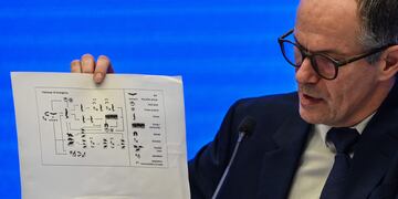 La misión de la OMS en Wuhan, China, determinó que el virus sería de origen animal, pero no confirmaron la especie. (Hector RETAMAL / AFP)