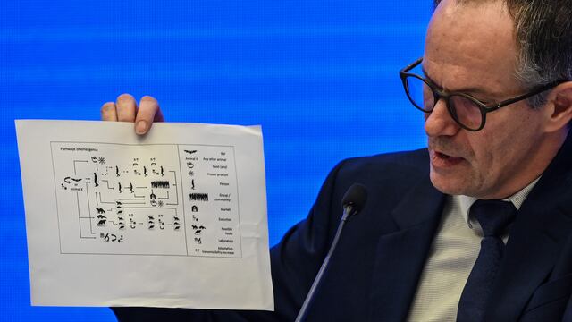 La misión de la OMS en Wuhan, China, determinó que el virus sería de origen animal, pero no confirmaron la especie. (Hector RETAMAL / AFP)