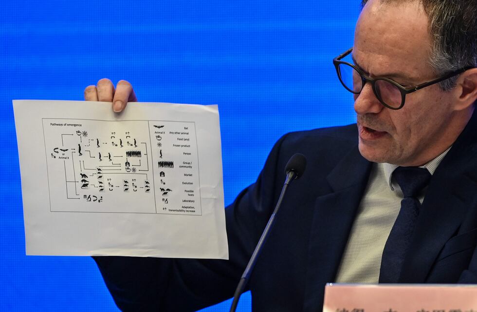 La misión de la OMS en Wuhan ratifica que el coronavirus sería de origen animal