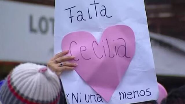 Estos datos se dan en el marco de la desaparición y presunto femicidio de la chaqueña Cecilia Strzyzowski.