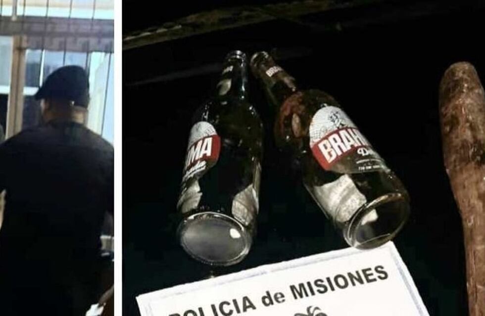 Dos individuos ocasionaron disturbios en la vía pública en Leandro N. Alem