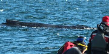 Fotos: Mariano Rodríguez.