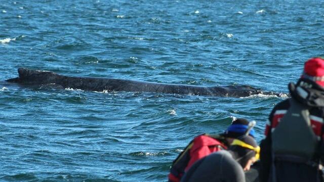 Fotos: Mariano Rodríguez.