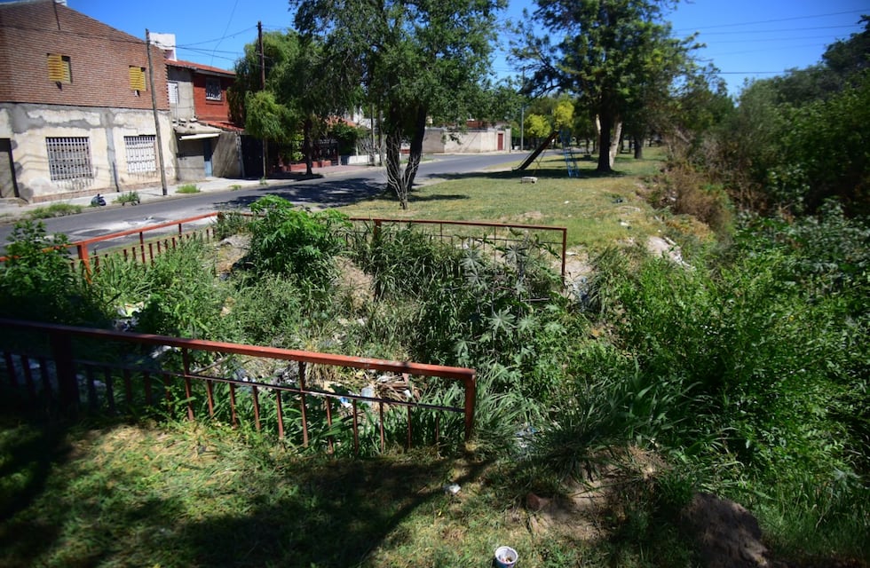 Identificaron a quién pertenecen los restos humanos encontrados en bolsas en Córdoba