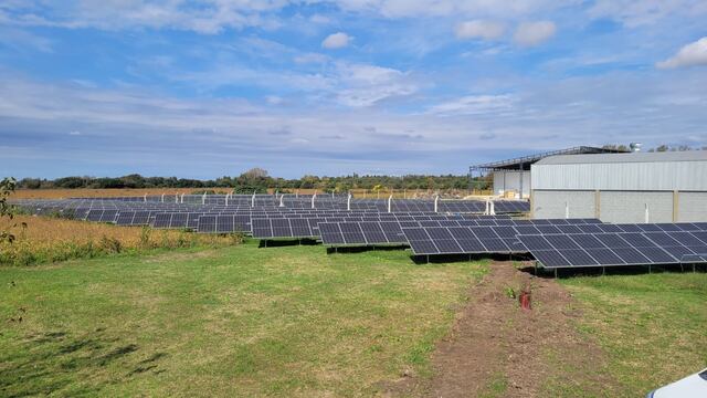 Familia Grión construyó un parque de energía solar para abastecer la empresa. (Foto: Gentileza)
