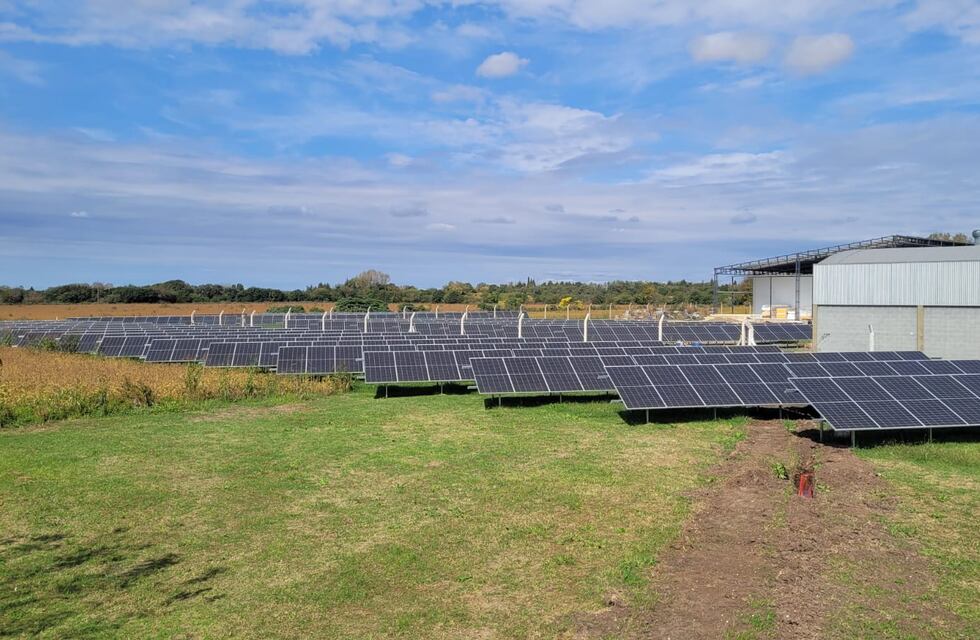 Energía solar para hacer chacinados: cómo es la iniciativa de una reconocida empresa de Córdoba