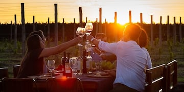 La bodega ofrece un recorrido por sus viñedos y una degustación de sus líneas artesanales.