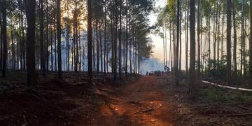 Incendio en Caraguatay y Eldorado.