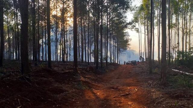 Incendio en Caraguatay y Eldorado.