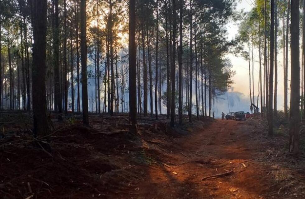 Incendios en Caraguatay y Eldorado
