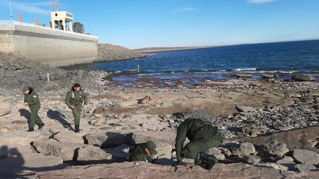 Gendarmes encontraron nuevos restos fósiles de dinosaurio en Neuquén.