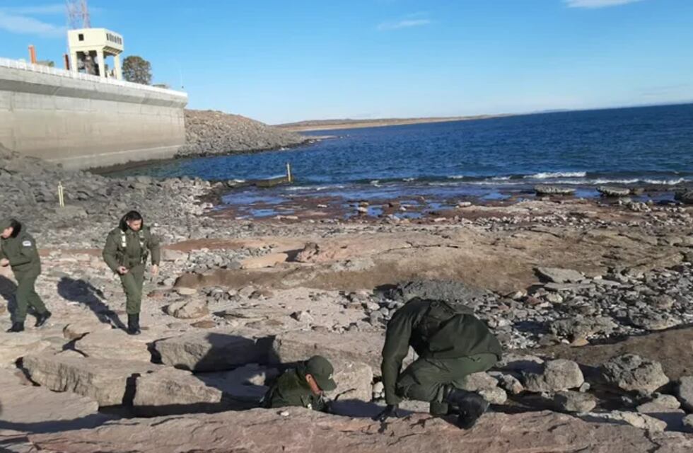 Gendarmes y paleontólogos encontraron nuevos restos fósiles de dinosaurio en Neuquén