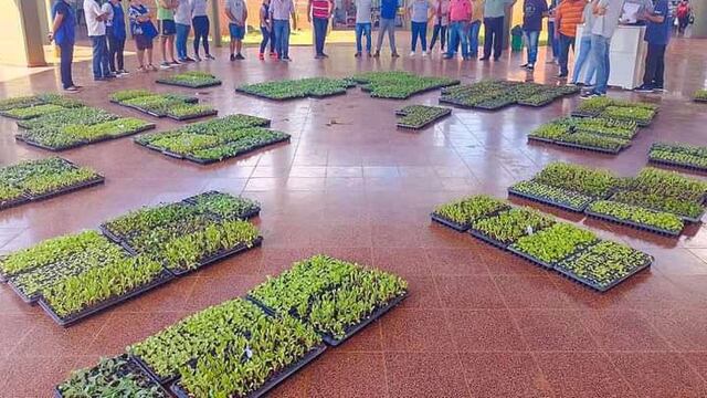 Productores de Eldorado recibirán plantines hortícolas.