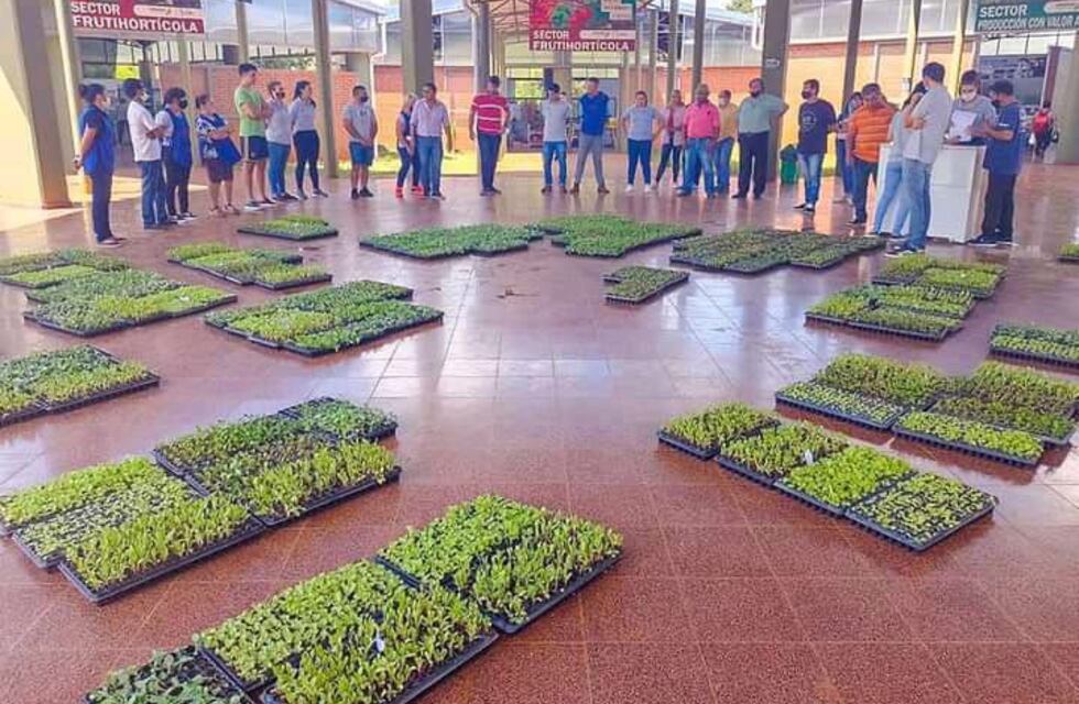 Productores de Eldorado recibirán plantines hortícolas