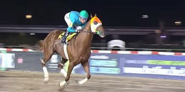 Senza Parole Arroyito