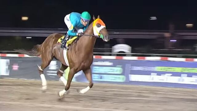 Senza Parole Arroyito