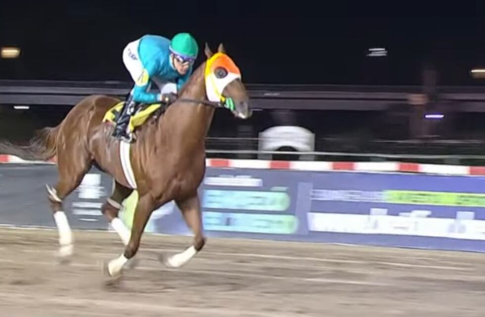 “Senza Parole” ganó en el Hipódromo Argentino de Palermo por segunda vez
