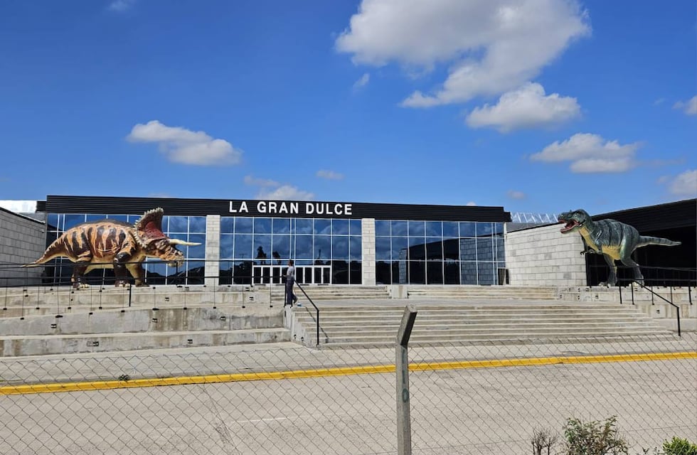 Precios de La Gran Dulce antes de Navidad y La Noche de los Shoppings 2024: compite con Flores y La Salada