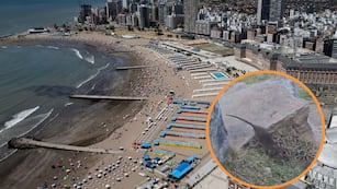 Invasión de ratas en Mar del Plata