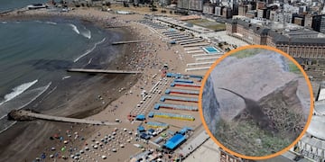 Invasión de ratas en Mar del Plata