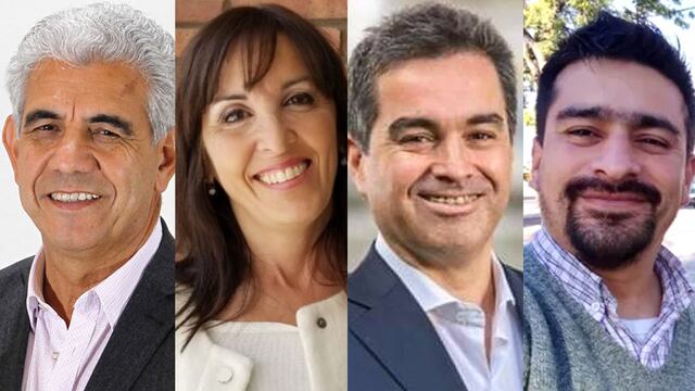 Walberto Allende, Susana Laciar, Marcelo Arancibia y Cristian Jurado.