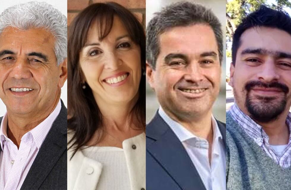 Quiénes son los candidatos a diputado nacional que encabezan lista en San Juan