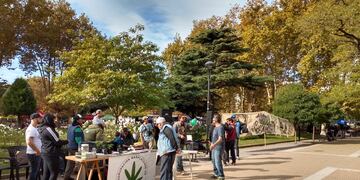 El 20 de diciembre de 2019 la Agrupación Marplatense de Cannabicultores con el patrocinio letrado del Dr. Franco Bertolini, presentó un habeas corpus preventivo colectivo para hacer cesar el hostigamiento policial hacia las personas usuarias de sustancias.