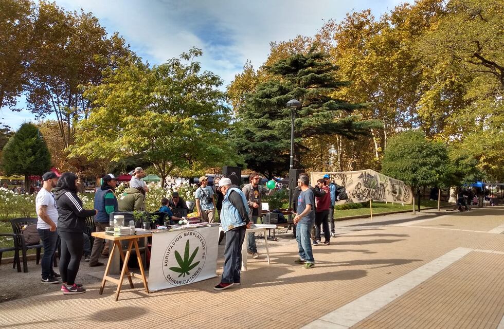 Destacan “un fallo contra la arbitrariedad, requisas ilegales, y violencia policial a personas usuarias de cannabis”