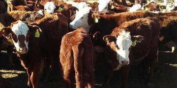 Hacienda (imagen ilustrativa).