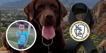 El perro participó en la investigación sobre los autos de María Victoria Caillava y Carlos Pérez.