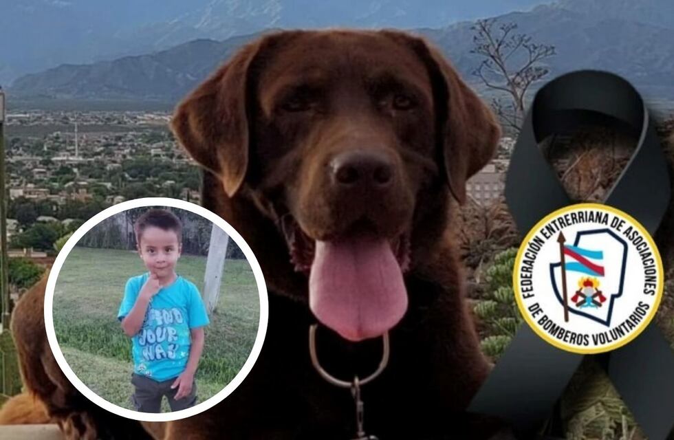 Murió Nerón, uno de los perros que encontró rastros de Loan tras su desaparición