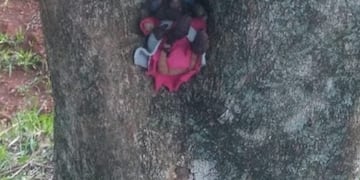 Preocupación en Posadas por “ofrendas” en el Jardín Botánico.