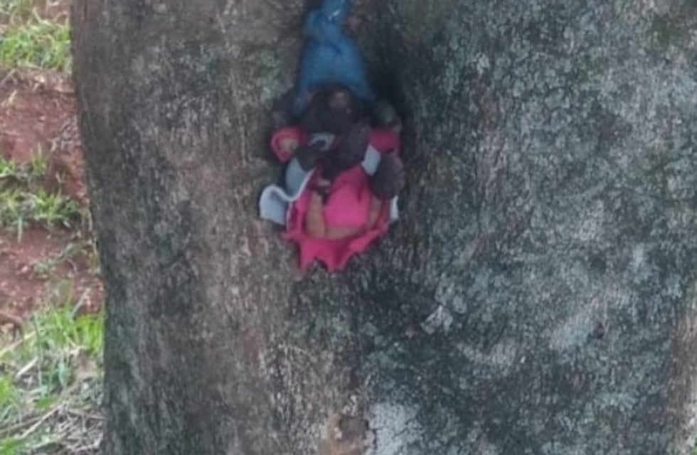 Preocupación en Posadas por “ofrendas” en el Jardín Botánico