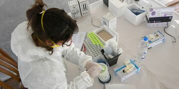 Baja cantidad de casos para este lunes 
Foto Orlando Pelichotti / Los Andes